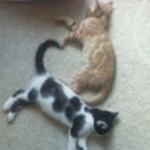 Meet your Posher, Mcartney